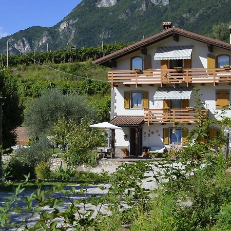 Cà Ulivi Bed & Breakfast Ala Ngoại thất bức ảnh